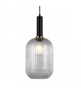 Pendant light Antiola Black, clear glass