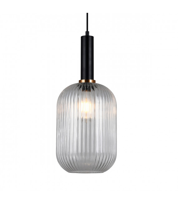 Pendant light Antiola Black, clear glass
