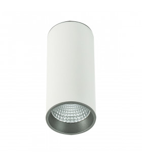Plafonnier spot technique et moderne Moldes Big WH/GR Ceiling 3000K Blanc, gris