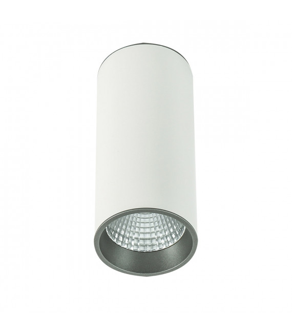 Technical and modern spotlight Moldes Big WH/GR Ceiling 4000K White, gray