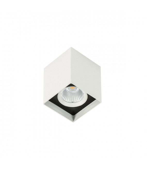 Plafonnier spot technique et moderne Alden White Black 3000K Blanc noir