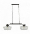 Hanging lamp 2 black school bulbs with glear glass