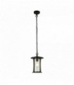 Outdoor suspension pagoda 1 bulb - black with transparent glass