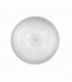 Transparent SHELL ceiling light 6 bulbs