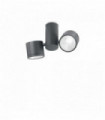 Anthracite ceiling lamp SUNGLASSES 2 bulbs