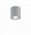Gray ceiling light GUN 1 bulb