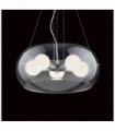 Suspension Transparente AUDIL-10 5 ampoules
