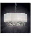Suspension Blanche SWAN 6 ampoules