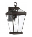 Lanterne murale de jardin Ravine Bronze occidental 51 Cm