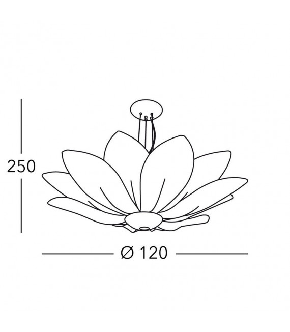 Ceiling lamp Fiore 226 Cm