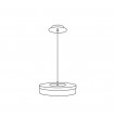 Solis pendant lamp 1 bulb gold leaf