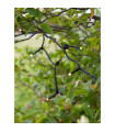 Plafonnier de jardin Garden PVC Noir 240 ampoules 2cm