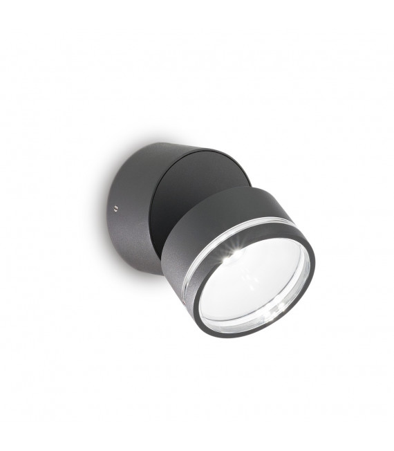 Faretto Omega 1 lampadina Vetro, metallo Antracite