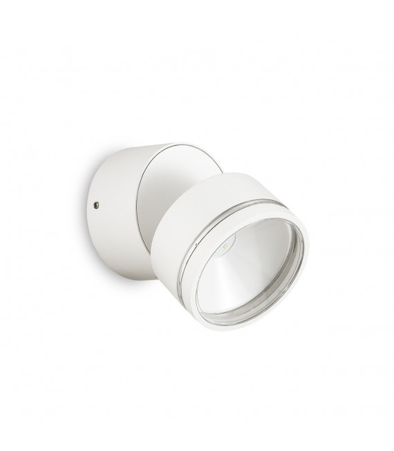 Spotlight Omega 1 bulb Glass, white metal