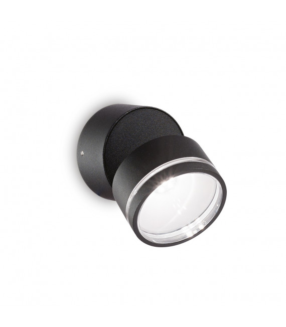Faretto Omega 1 lampadina Vetro, metallo Nero