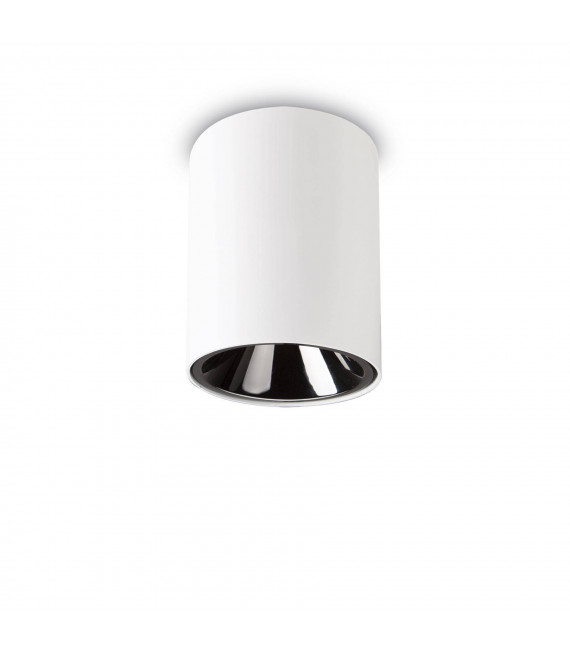 Spot Downlight Nitro Aluminium blanc 1 ampoule 14cm