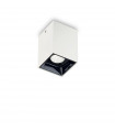 Spot Downlight Nitro Aluminium blanc 1 ampoule 9cm