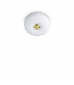 Plafonnier Arizona Verre blanc 2 ampoules 18cm