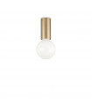 Ceiling light Petit Metal Satin brass 1 bulb 10cm