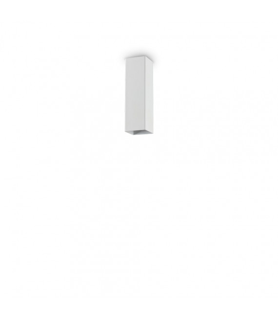 Spot Downlight Sky White metal 1 bulb 20cm