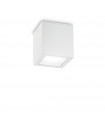 Spot Downlight Techo Verre,métal blanc 1 ampoule 16cm