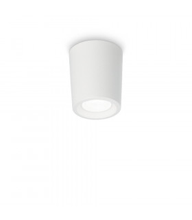 Spot Downlight Livia Plastique blanc 1 ampoule 6,5cm