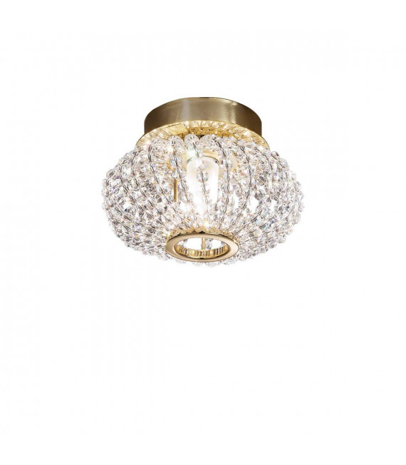 Spot design CARLA Or 24 Carats 1 ampoule