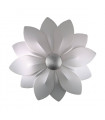 product - 1