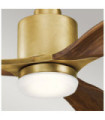 Ridley Fan Steel Natural Brass