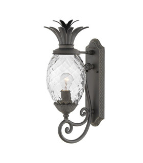 Outdoor wall light Plantation Transparent optical glass, aluminum Museum Black