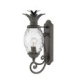 Outdoor wall light Plantation Transparent optical glass, aluminum Museum Black