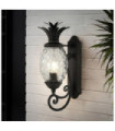 Outdoor wall light Plantation Transparent optical glass, aluminum Museum Black