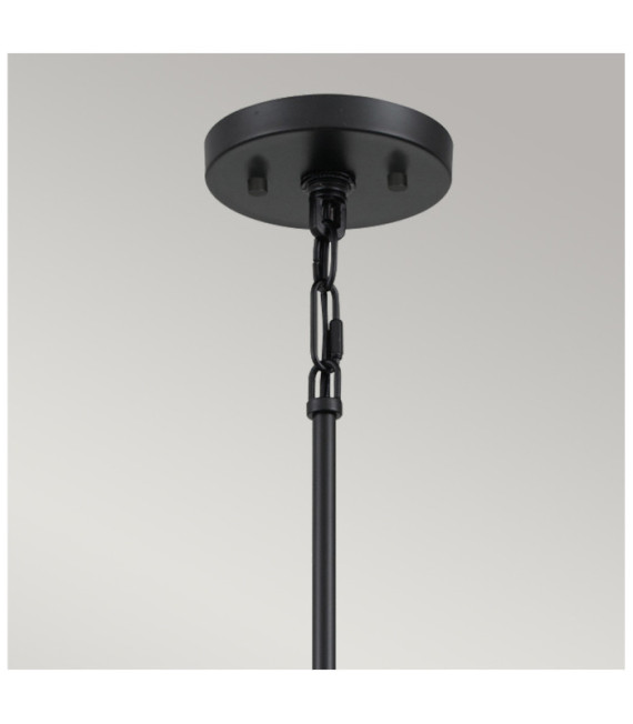 Suspension Quoizel Acier Terre noire