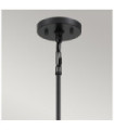 Suspension Quoizel Acier Terre noire