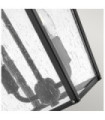 Applique murale extérieur Hinkley Aluminium,laiton,verre grainé transparent Noir