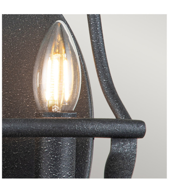 Lampada da parete Quoizel Acciaio Grigio Frassino