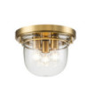 Quoizel Ceiling Light Glass, Steel Brushed Brass
