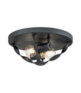 Plafonnier Quoizel Acier Frêne gris