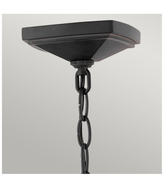 Hinkley outdoor pendant light Aluminum, transparent glass Museum Black