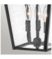 Hinkley outdoor pendant light Aluminum, brass, transparent grained glass Black
