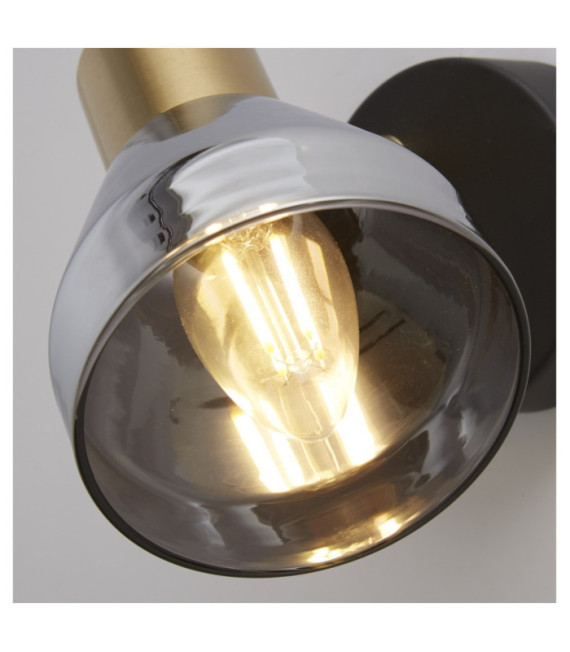 Westminster spotlight Mild steel Black, Satin brass, Smoked