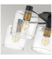 Hinkley Ceiling Light Steel, Black Clear Glass with Heritage Brass