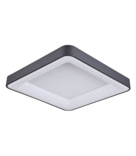 Giacinto lámpara de techo LED Acrílico, Aluminio Negro