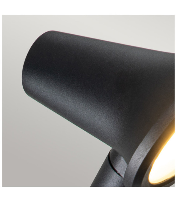 Proyector de exterior Selma Vidrio, acero inoxidable, aluminio fundido a presión Negro