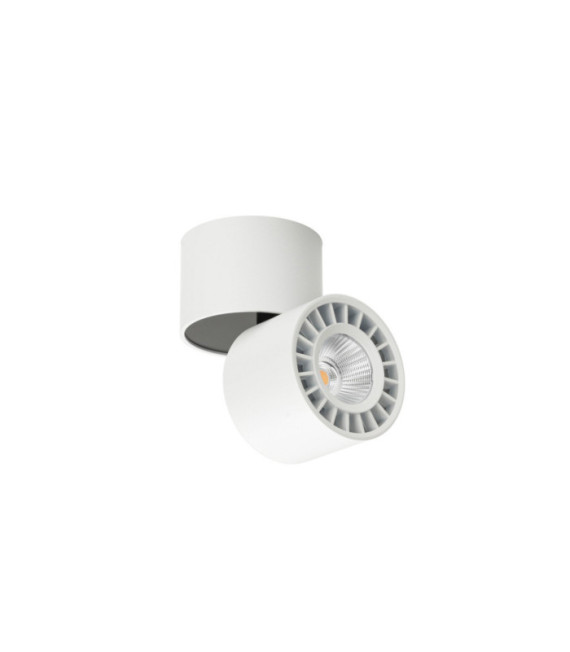 Plafoniera Herios Alluminio Bianco, Nero