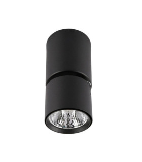 Boniva Black Ceiling Light