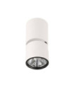 Boniva Ceiling Light White, Black