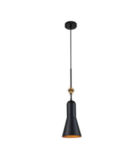 Pendente Stella Resina, Acciaio Nero opaco, foglia oro