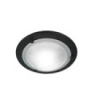 Berwick Ceiling Light Glass, Black Steel