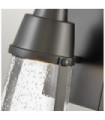 Hinkley Outdoor Wall Light Clear Seeded Glass, Weather Resistant Composite, Black